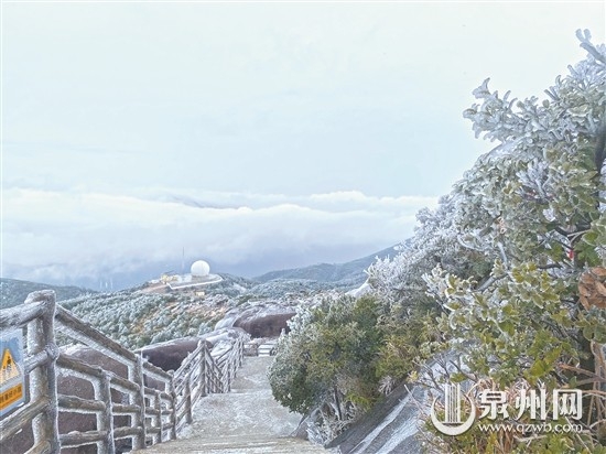 美丽“冻”人 雨凇雾凇雪景齐现 - 憨鼠网
