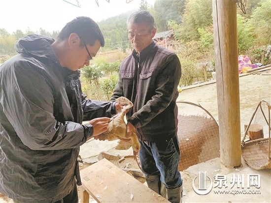 开展春防 筑牢家禽安全防护网 - 憨鼠网