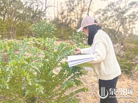 绿色卫士 守护青山 - 憨鼠网