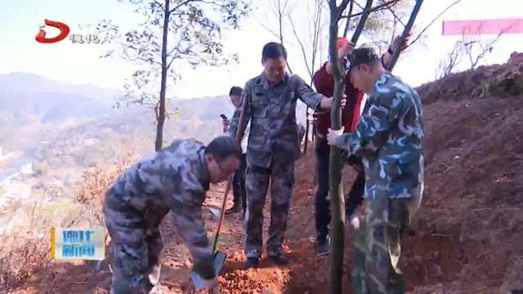 县领导与干部群众义务植树  为瓷都添新绿 - 憨鼠网