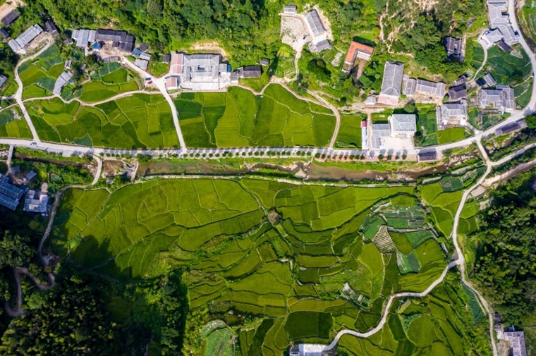 德化碧坑村:青山秀水乡村美 - 憨鼠网