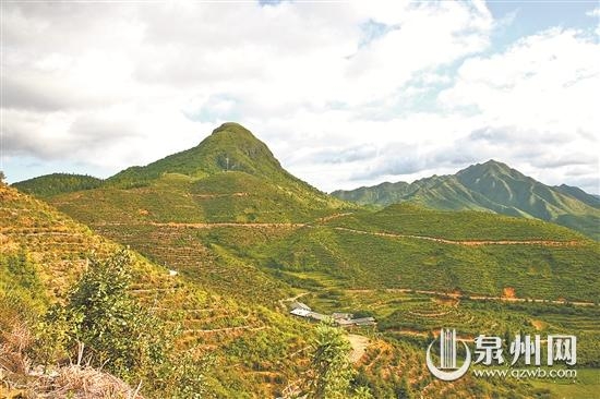 打造绿水青山 赢得金山银山——德化林业改革20年成效回眸 - 憨鼠网