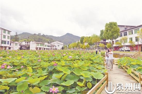 泉州市开启“上蒸下煮”模式 最高温破35℃ - 憨鼠网