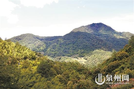 德化县狮子山：绿水青山狮子林 红色美名传四方 - 憨鼠网