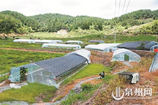 唤醒“沉睡的土地” 德化县全力做好撂荒地复耕复垦 - 憨鼠网