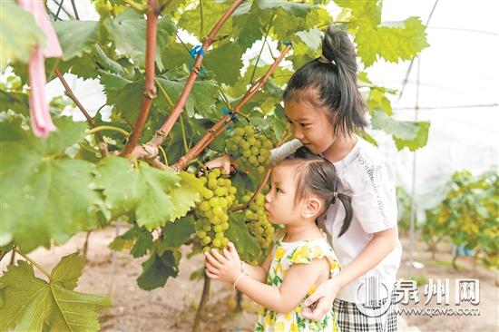 “农业+旅游+文化” 助力乡村振兴 - 憨鼠网
