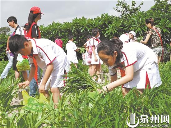 今秋起泉州正式全面落实 劳动课成为中小学独立课程 - 憨鼠网