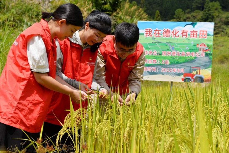 德化：守一方热土 ，耕一亩良田 - 憨鼠网