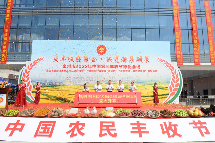 德化：金秋收获季 喜迎丰收节 - 憨鼠网