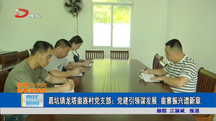 葛坑镇龙塔畲族村党支部：党建引领谋发展 畲寨振兴谱新章 - 憨鼠网