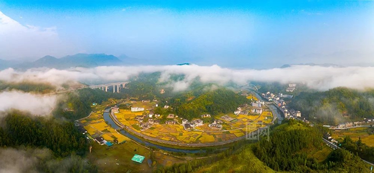 德化县国宝—雷峰线上榜市第二批乡村振兴精品示范线名单 - 憨鼠网