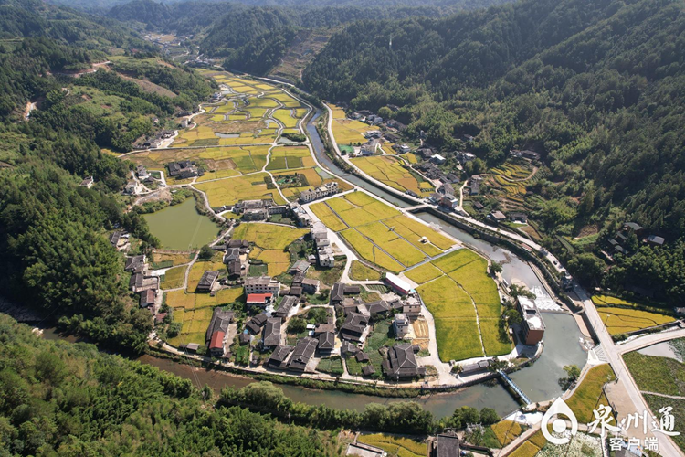 【二十大时光】德化上涌镇曾坂村：共促乡村振兴 共享“诗和远方” - 憨鼠网