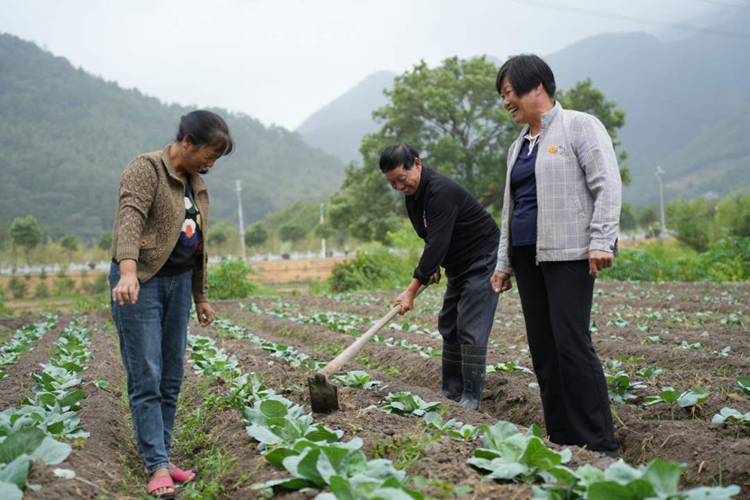 德化：全过程人民民主深入基层脉络 - 憨鼠网