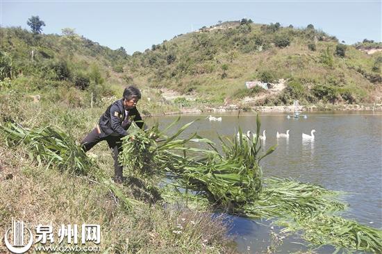 【新闻调查】引进“新物种” 警惕“水土不服” - 憨鼠网