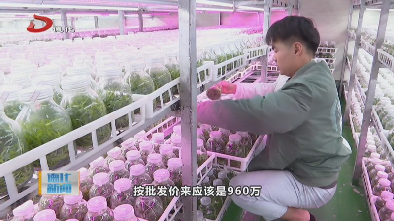 县林业局：大力发展林下经济 推进现代林业高质量发展 - 憨鼠网