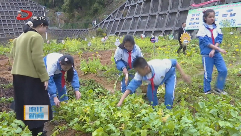 第五实验小学：劳动技能展示 检验学习成果 - 憨鼠网