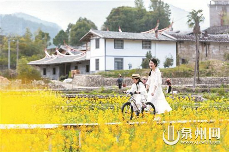 花田如画 - 憨鼠网