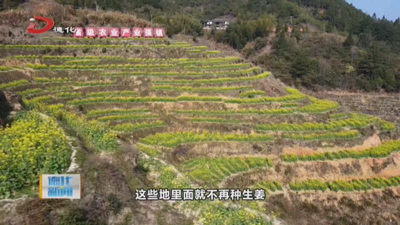 大铭乡：油菜花开  激活“一地两用”振兴田 - 憨鼠网