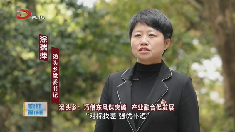 年初亮思路 话发展——葛坑镇、汤头乡 - 憨鼠网