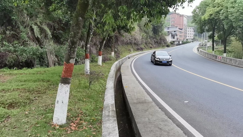 行道树惨遭削皮，公路部门：呼吁爱护绿化树 - 憨鼠网