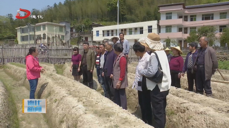 雷峰镇为乡村振兴培育乡土人才 - 憨鼠网