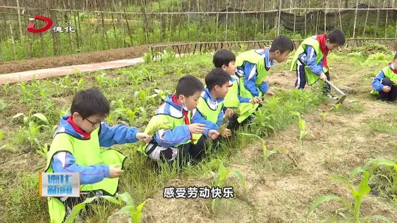 研学旅行促成长 最美课堂在路上 - 憨鼠网