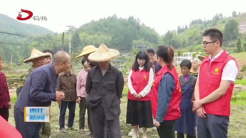 西南五镇开展促乡村农业产业高质量发展活动 - 憨鼠网