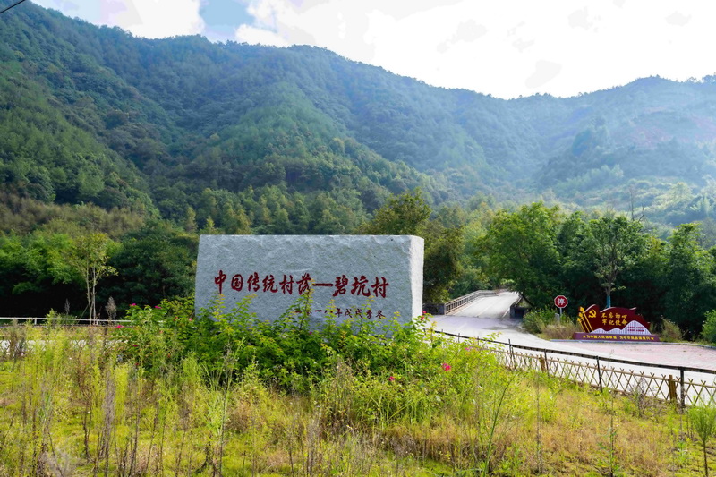 “泉”是好风光 | 泉州德化碧坑村：传统村落焕新颜 - 憨鼠网