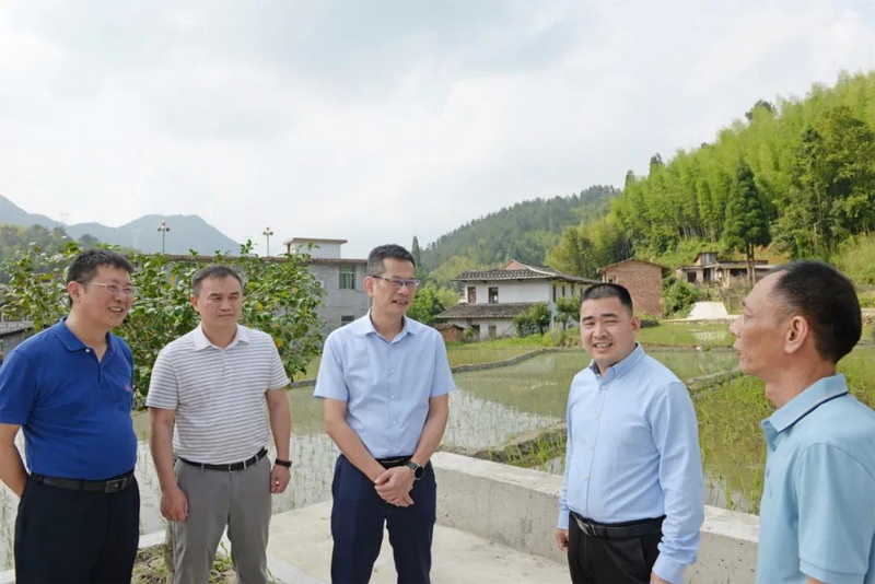 县委书记黄文捷调研粮食安全情况 - 憨鼠网