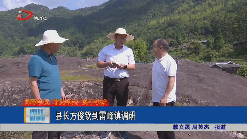 县长方俊钦到雷峰镇调研 - 憨鼠网