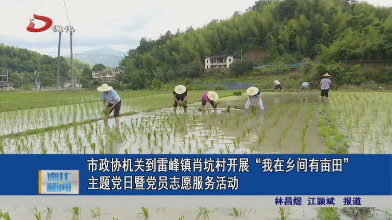 市政协机关到雷峰镇肖坑村开展“我在乡间有亩田”主题党日暨党员志愿服务活动 - 憨鼠网