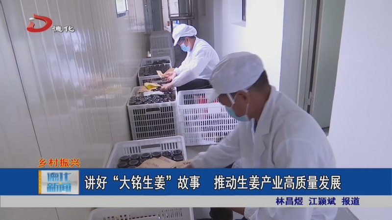 讲好“大铭生姜”故事 推动生姜产业高质量发展 - 憨鼠网