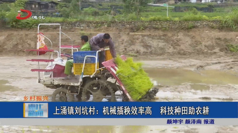 上涌镇刘坑村：机械插秧效率高 科技种田助农耕 - 憨鼠网