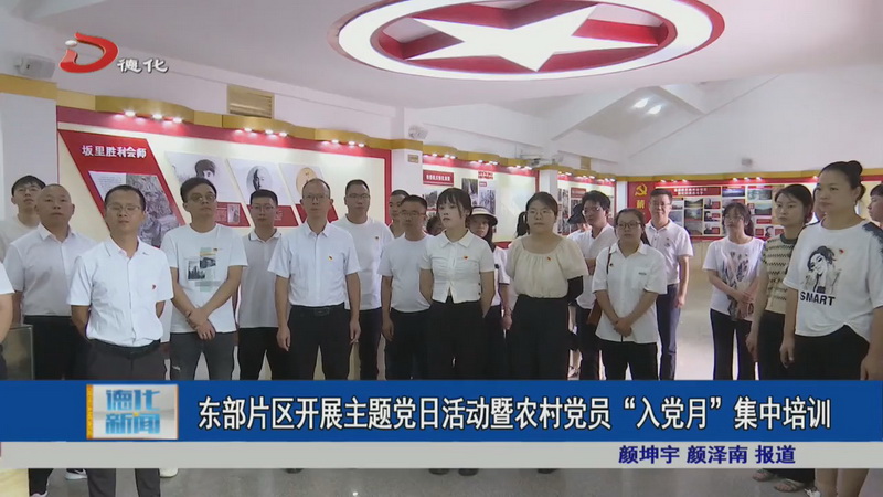 东部片区开展主题党日活动暨农村党员“入党月”集中培训 - 憨鼠网