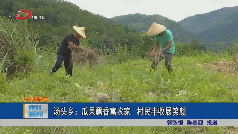 汤头乡：瓜果飘香富农家 村民丰收展笑颜 - 憨鼠网