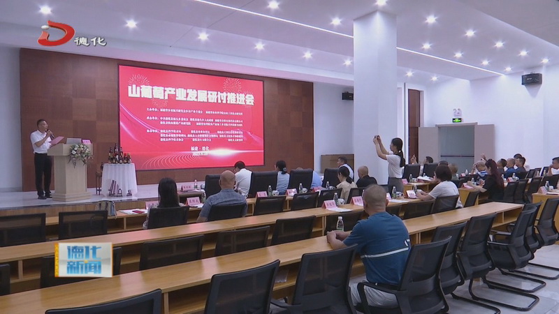 山葡萄产业发展研讨推进会在德化县举行 - 憨鼠网