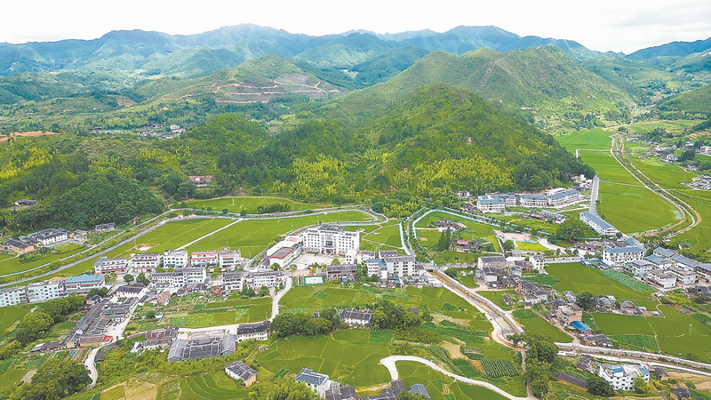 良田变美景 - 憨鼠网