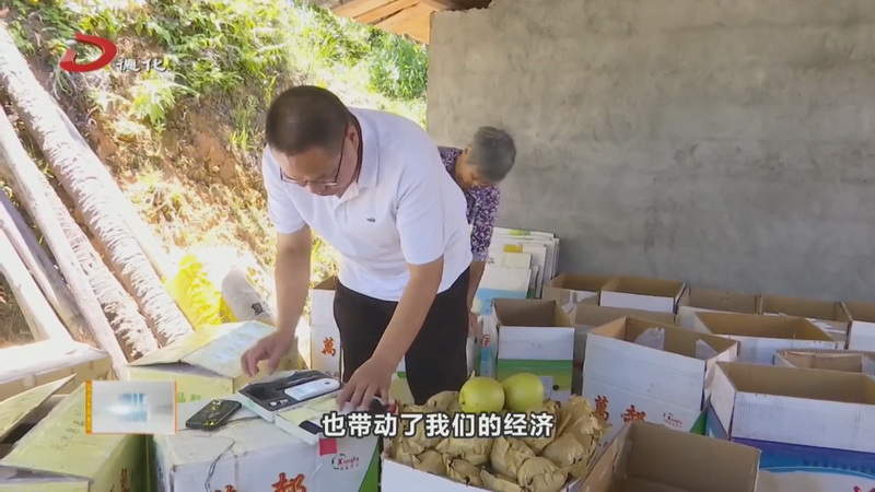 梨农加入合作社抱团发展 德化梨价值提升热销各地 - 憨鼠网