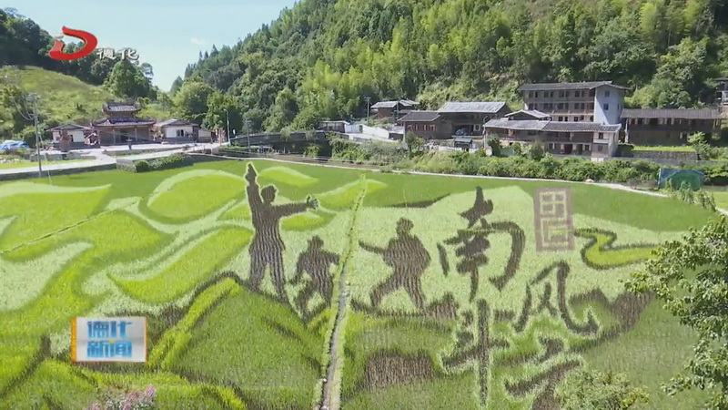 国宝乡南斗村：田为纸稻为墨 绘就“红色”田园画卷 - 憨鼠网
