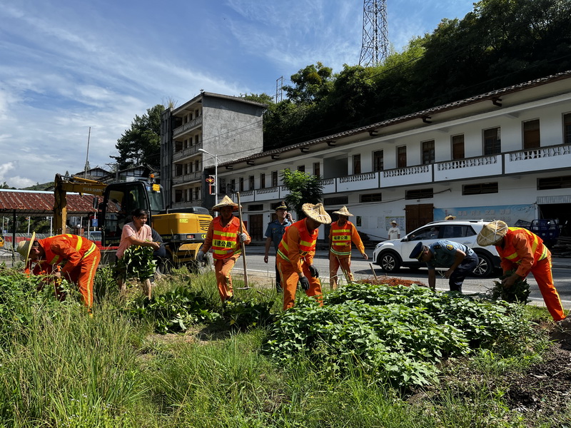 联合整治路旁种菜，优化公路路域环境 - 憨鼠网