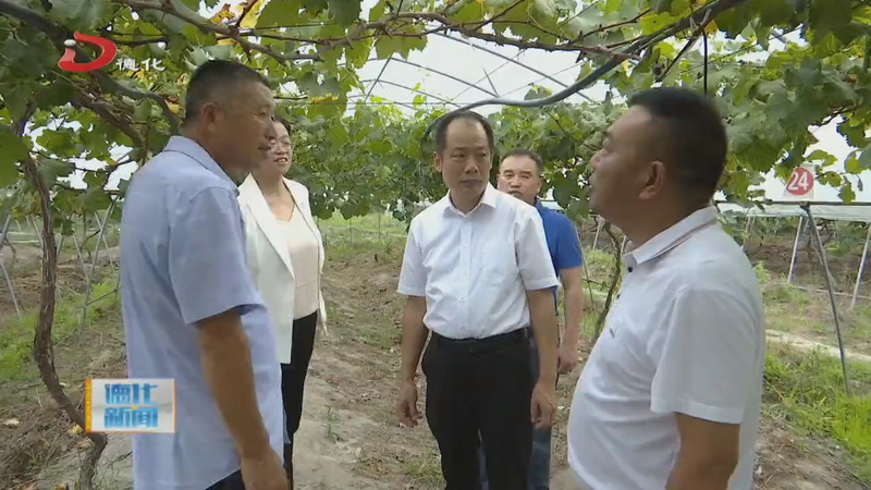 市领导到我县调度防汛防台风工作 - 憨鼠网