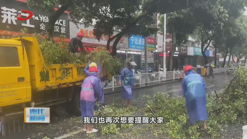 台风来袭 绿化树倒伏 园林部门逆“风”而上 - 憨鼠网