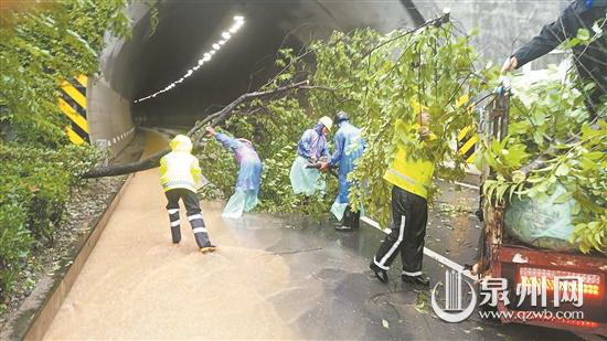同心协力 守护家园 德化县迅速展开灾后重建 - 憨鼠网