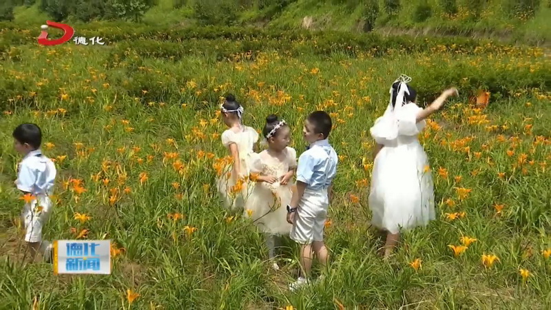 春美乡第五届“母亲花”节：忘忧花开 “乡”约春美 - 憨鼠网