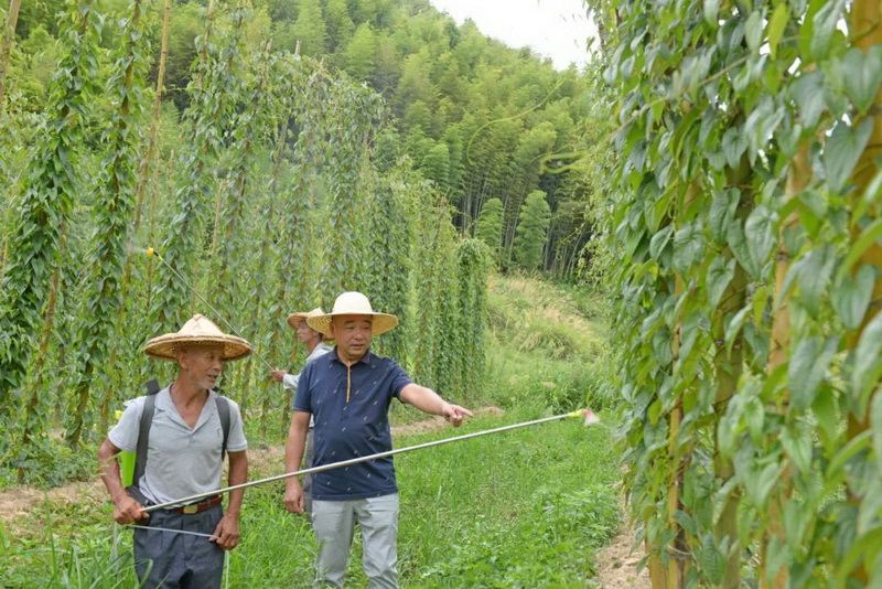 德化：绿水青山绘长卷 开启瓷旅新篇章 - 憨鼠网