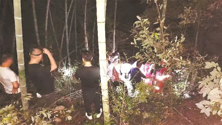 老人上山采菇 不慎摔伤昏迷 多方联手救援,将伤者送医救治 - 憨鼠网