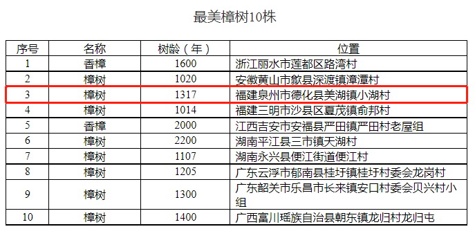 公示了，美湖樟树王上榜 - 憨鼠网