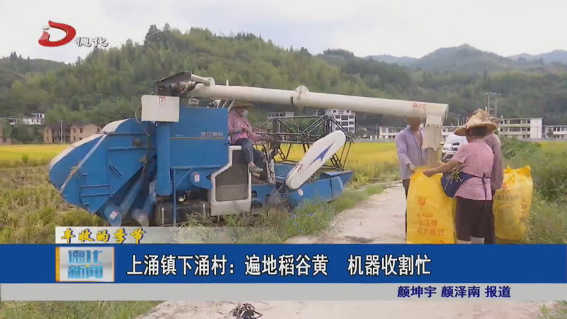 上涌镇下涌村：遍地稻谷黄机器收割忙 - 憨鼠网