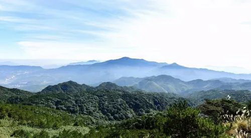 福建戴云山国家级自然保护区获得国家级荣誉称号 - 憨鼠网