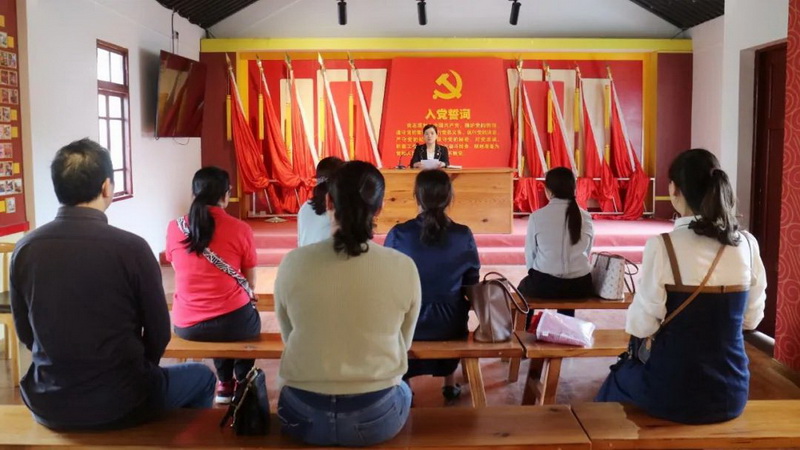 传承红色基因 汲取奋进力量——县妇联党支部开展主题党日活动 - 憨鼠网